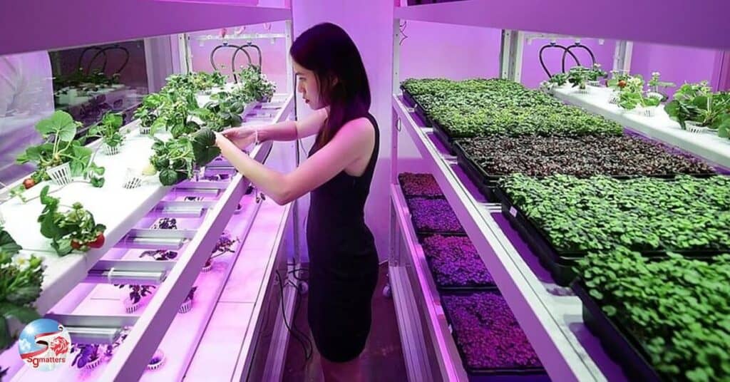 Food Security is a National Priority in Singapore