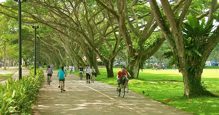 parks report12