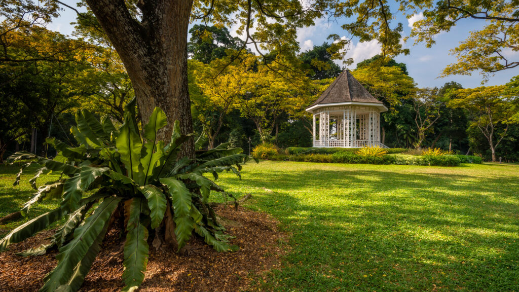 Singapore Botanic Gardens