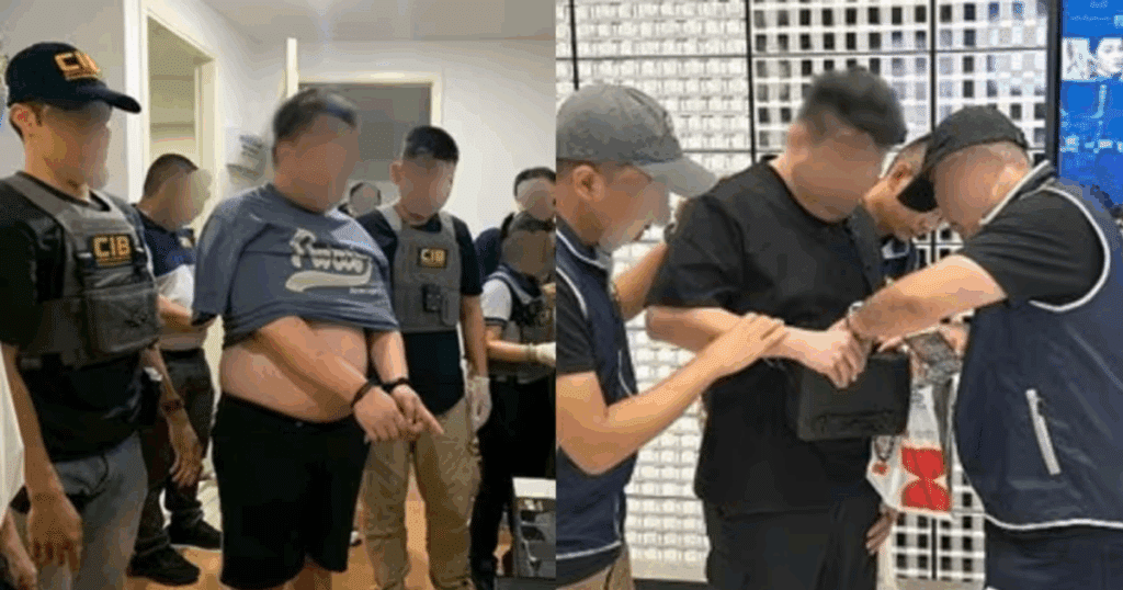 transnational vice syndicate